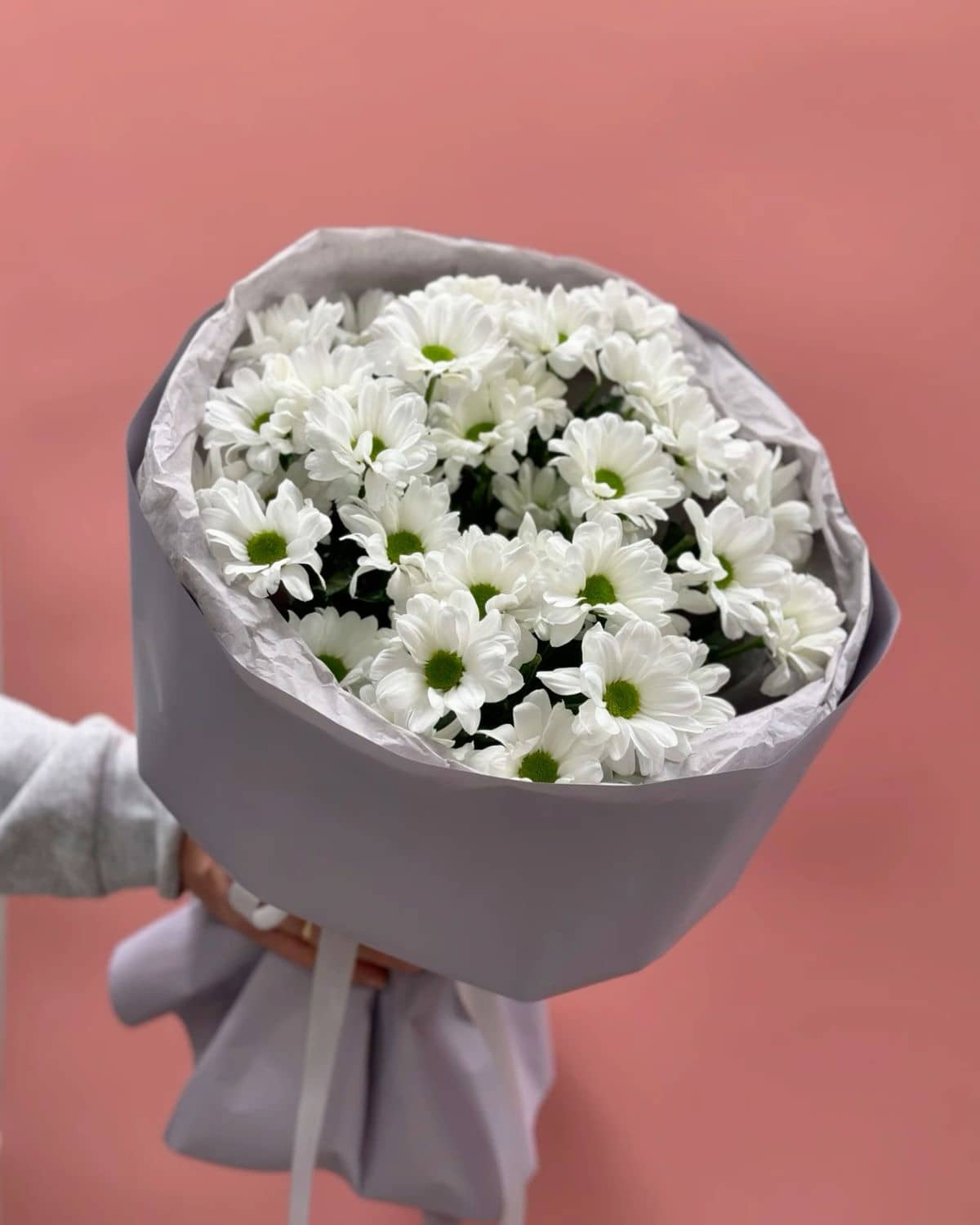 Арктический шепот