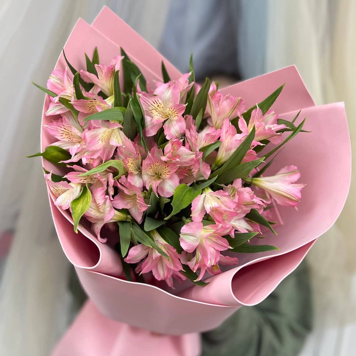 Тропический калейдоскоп