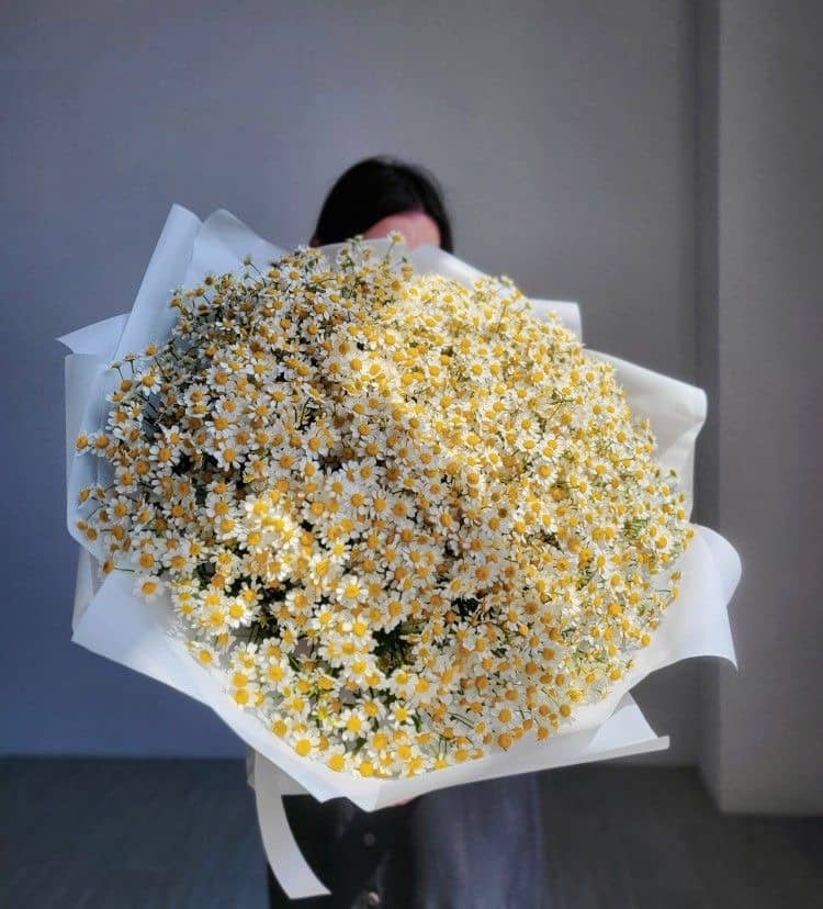 Экзотическая мелодия