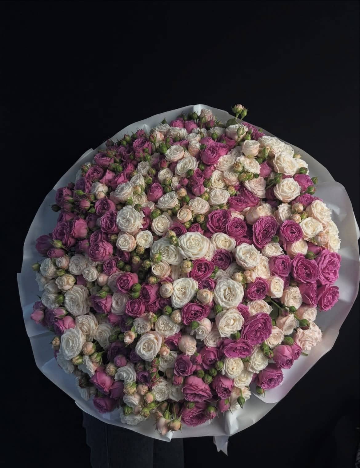 Танец страсти