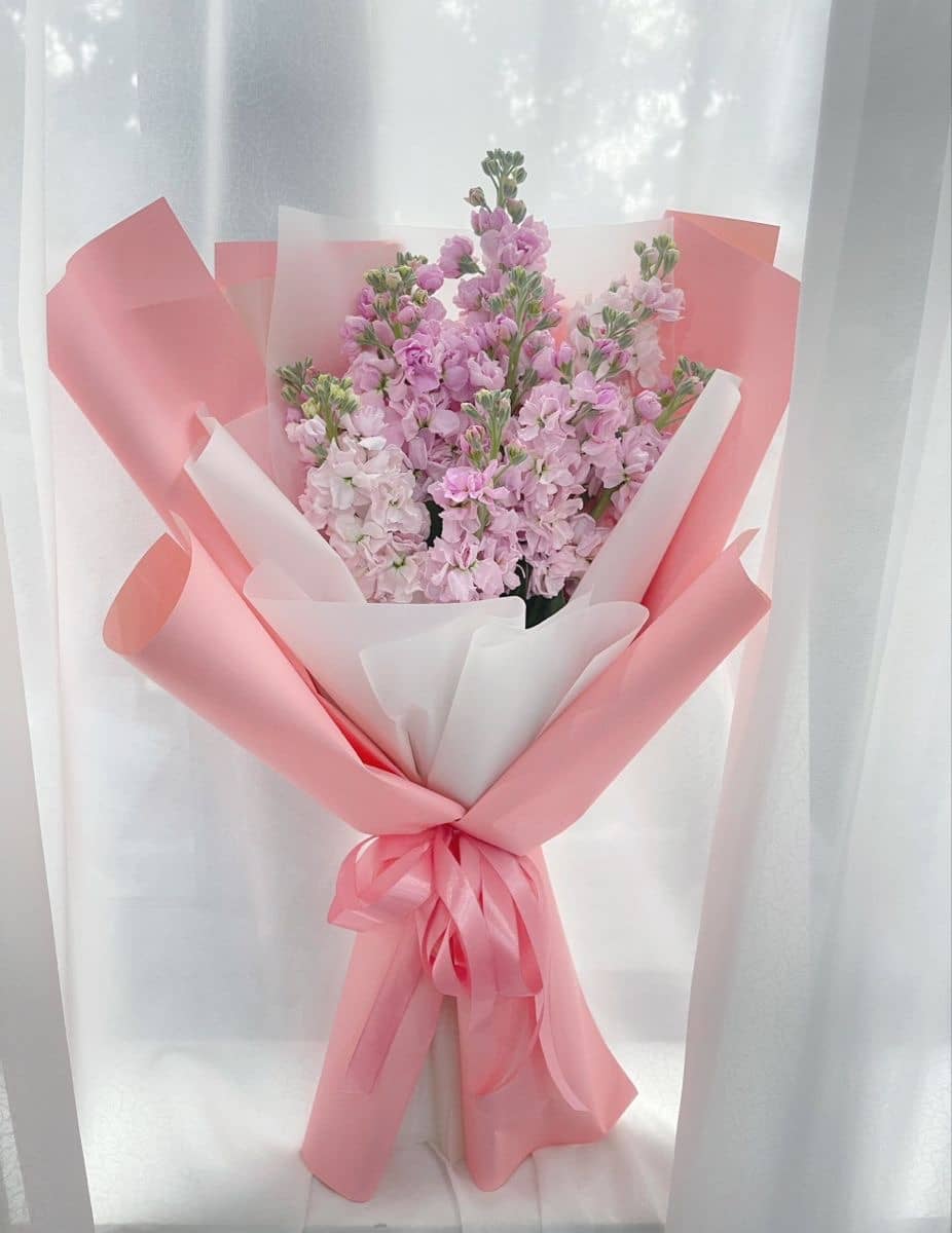 Восточный ветер