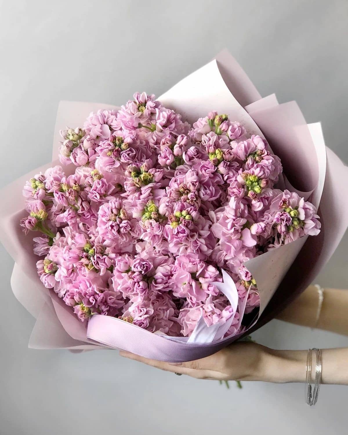 Летний карнавал