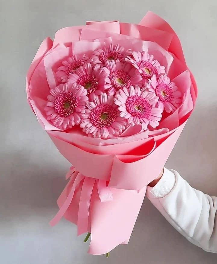 Марокканский полдень