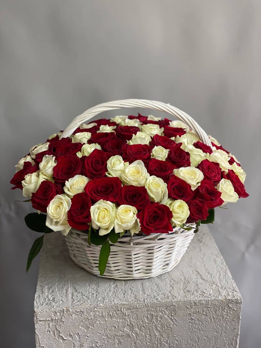 Рассвет в джунглях