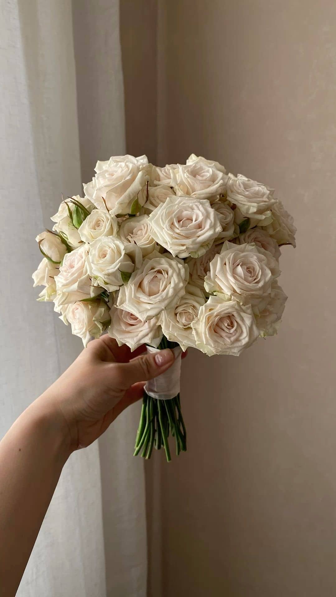 Изумрудная эустома